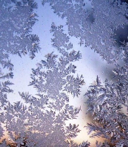 Frost